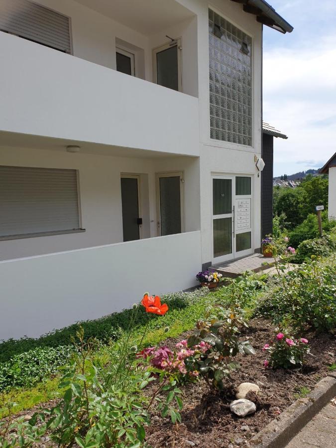 Appartement Guenninghauser Strasse 6 - 4 Winterberg Exterior foto